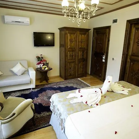 Felicity Provincia di Istanbul